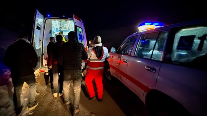 حمله گرگ در روستای دشوان سلماس ۳ زخمی برجای گذاشت