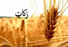 افزایش یک و نیم برابری پرداخت زکات در سلماس