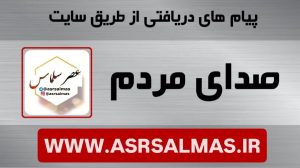 درخواست رسیدگی به وضعیت جمع آوری سگ های بلاصاحب