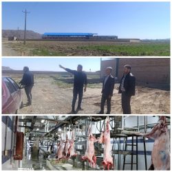 پیشرفت بیش از ۵۰ درصدی کشتارگاه صنعتی تمام  اتوماتیک سلماس