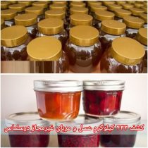 کشف بیش از ۴۰۰ کیلوگرم عسل و مربای غیر مجاز در سلماس