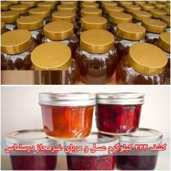 کشف بیش از ۴۰۰ کیلوگرم عسل و مربای غیر مجاز در سلماس